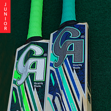 Junior Hard Ball Bats